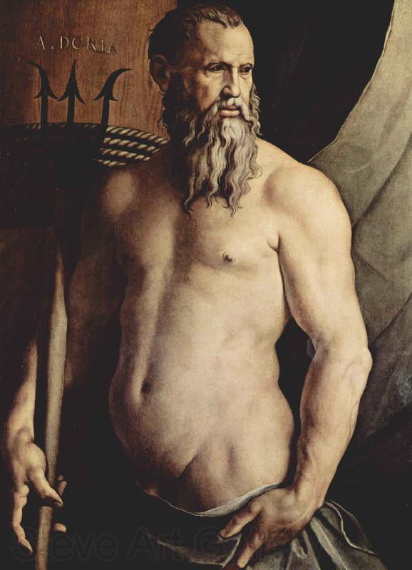 Angelo Bronzino Portrat des Andrea Doria als Neptun Spain oil painting art